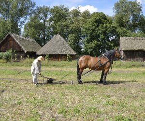 Kolejny odcinek "Księgi obyczaju" w naszym Muzeum Kolejny odcinek "Księgi obyczaju" w naszym Muzeum