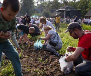 „Jesień w polu i zagrodzie” 2023 r. - fotorelacja i podsumowanie