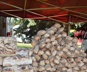 XV Podlaskie Święta Chleba w Muzeum Rolnictwa im. ks. Krzysztofa Kluka w Ciechanowcu XV Podlaskie Święta Chleba w Muzeum Rolnictwa im. ks. Krzysztofa Kluka w Ciechanowcu