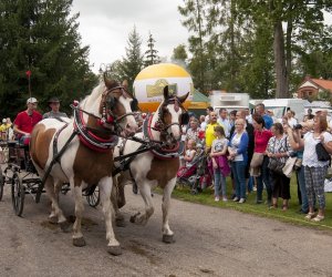 XVI Podlaskie Święto Chleba
