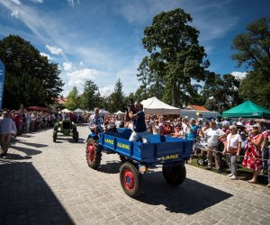 XVIII Podlaskie Święto Chleba - fotorelacja XVIII Podlaskie Święto Chleba - fotorelacja