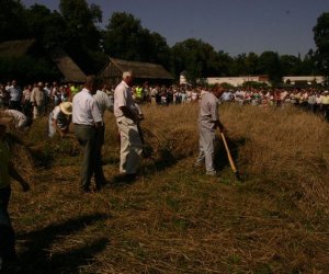 IX Podlaskie Święto Chleba IX Podlaskie Święto Chleba
