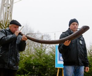 Galeria z 6 grudnia 2014