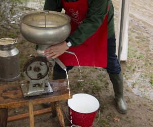 Jesień w polu i zagrodzie. Etnograficzny festiwal kultury ludowej 2022 - fotorelacja Jesień w polu i zagrodzie. Etnograficzny festiwal kultury ludowej 2022 - fotorelacja