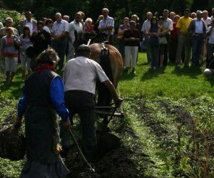 Wykopki w skansenie 2009