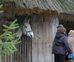 Szopka Bożonarodzeniowa