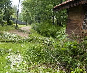 Nawałnica w ciechanowieckim muzeum Nawałnica w ciechanowieckim muzeum