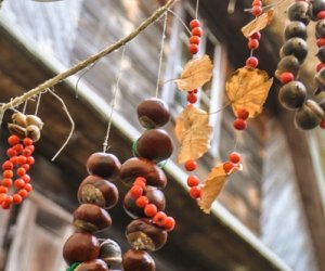 JESIEŃ W POLU I ZAGRODZIE JESIEŃ W POLU I ZAGRODZIE