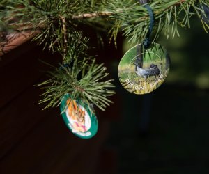 Jarmark św. Wojciecha A.D. 2023 - podsumowanie i fotorelacja Jarmark św. Wojciecha A.D. 2023 - podsumowanie i fotorelacja