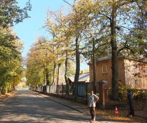 Pielęgnacja i konserwacja drzew zabytkowej alei lipowej na terenie skansenu Muzeum Rolnictwa im. Ks. Krzysztofa Kluka w Ciechanowcu