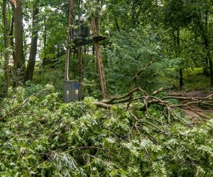 Nawałnica w Ciechanowcu Nawałnica w Ciechanowcu