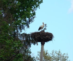 Zwyczaj święcenia pól – dawniej i dzisiaj… Zwyczaj święcenia pól – dawniej i dzisiaj…