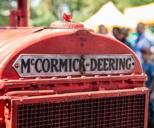 XV Podlaskie Święta Chleba w Muzeum Rolnictwa im. ks. Krzysztofa Kluka w Ciechanowcu XV Podlaskie Święta Chleba w Muzeum Rolnictwa im. ks. Krzysztofa Kluka w Ciechanowcu