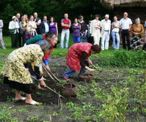 Wykopki w skansenie 2009