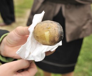Wykopki w skansenie podsumowanie, fotorelacja. Wykopki w skansenie podsumowanie, fotorelacja.