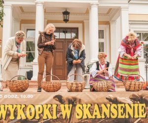 Wykopki w Skansenie 2013 Wykopki w Skansenie 2013