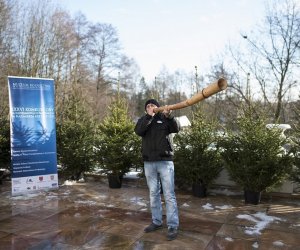 LIGAWKI 2016 - Fotorelacja z konkursu