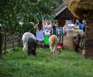 XVIII Podlaskie Święto Chleba - fotorelacja