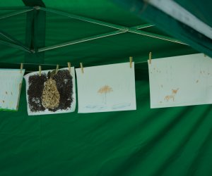 Jesień w polu i zagrodzie. Etnograficzny festiwal kultury ludowej 2022 - fotorelacja Jesień w polu i zagrodzie. Etnograficzny festiwal kultury ludowej 2022 - fotorelacja