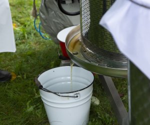 Jesień w polu i zagrodzie. Etnograficzny festiwal kultury ludowej 2022 - fotorelacja Jesień w polu i zagrodzie. Etnograficzny festiwal kultury ludowej 2022 - fotorelacja