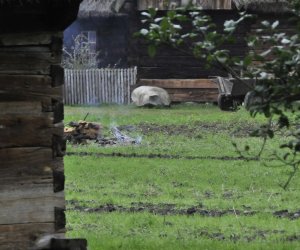 Wykopki w skansenie podsumowanie, fotorelacja. Wykopki w skansenie podsumowanie, fotorelacja.