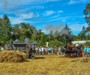 XV Podlaskie Święta Chleba w Muzeum Rolnictwa im. ks. Krzysztofa Kluka w Ciechanowcu XV Podlaskie Święta Chleba w Muzeum Rolnictwa im. ks. Krzysztofa Kluka w Ciechanowcu