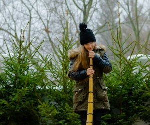 Galeria z 6 grudnia 2014 Galeria z 6 grudnia 2014