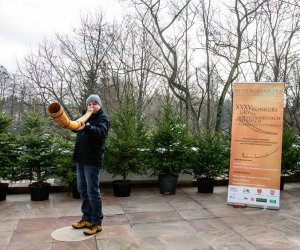 Galeria z 5 grudnia 2015