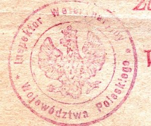 Historia na książkach zapisana