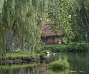 XVI Podlaskie Święto Chleba