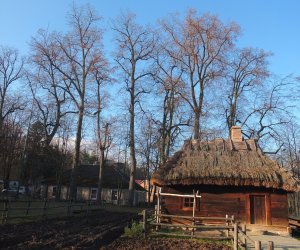 Pielęgnacja i konserwacja drzew zabytkowej alei lipowej na terenie skansenu Muzeum Rolnictwa im. Ks. Krzysztofa Kluka w Ciechanowcu Pielęgnacja i konserwacja drzew zabytkowej alei lipowej na terenie skansenu Muzeum Rolnictwa im. Ks. Krzysztofa Kluka w Ciechanowcu
