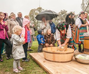 Wykopki w Skansenie 2013 Wykopki w Skansenie 2013
