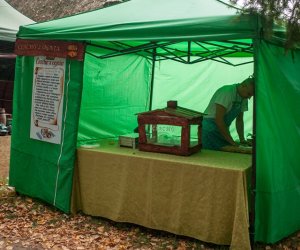 JESIEŃ W POLU I ZAGRODZIE JESIEŃ W POLU I ZAGRODZIE