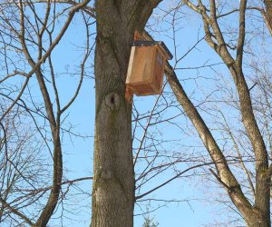 Nowe budki lęgowe w muzealnym parku Nowe budki lęgowe w muzealnym parku