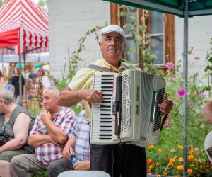 XXII Podlaskie Święto Chleba - fotorelacja