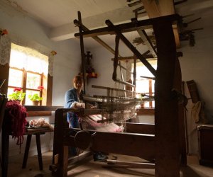 Jarmark Św. Wojciecha i Festyn Leśny 2014 Jarmark Św. Wojciecha i Festyn Leśny 2014