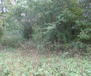 Międzynarodowa konferencja w Mińsku Białoruskim Międzynarodowa konferencja w Mińsku Białoruskim