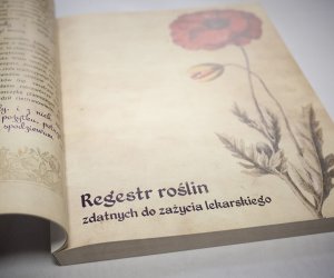 Zażycie Roślin Lekarskie, czyli wiadomość dla miłośników tradycyjnego ziołolecznictwa Zażycie Roślin Lekarskie, czyli wiadomość dla miłośników tradycyjnego ziołolecznictwa