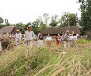 XVII Podlaskie Święto Chleba - fotorelacja XVII Podlaskie Święto Chleba - fotorelacja