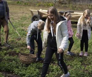 Jesień w polu i zagrodzie. Etnograficzny festiwal kultury ludowej 2022 - fotorelacja Jesień w polu i zagrodzie. Etnograficzny festiwal kultury ludowej 2022 - fotorelacja