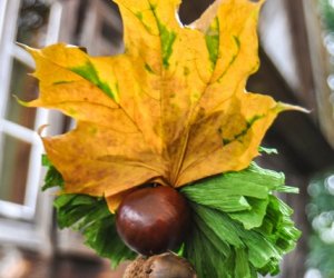 JESIEŃ W POLU I ZAGRODZIE JESIEŃ W POLU I ZAGRODZIE