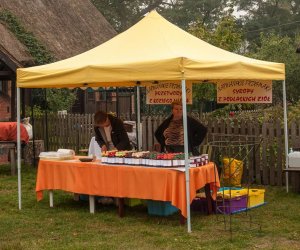 JESIEŃ W POLU I ZAGRODZIE JESIEŃ W POLU I ZAGRODZIE