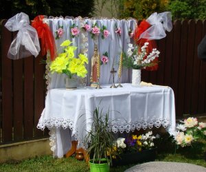 Zwyczaj święcenia pól – dawniej i dzisiaj… Zwyczaj święcenia pól – dawniej i dzisiaj…