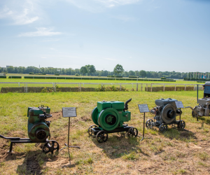 "Piknik Poznaj Dobrą Żywność" - Służewiec - 26 maja 2024 r. - fotorelacja "Piknik Poznaj Dobrą Żywność" - Służewiec - 26 maja 2024 r. - fotorelacja
