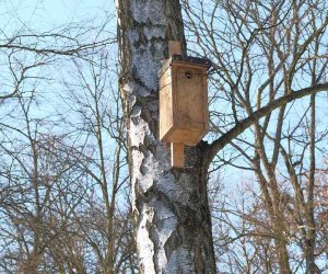 Nowe budki lęgowe w muzealnym parku Nowe budki lęgowe w muzealnym parku