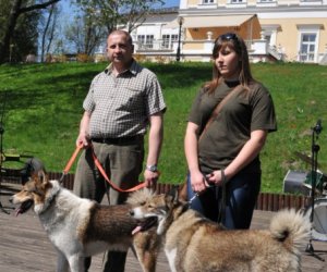 XIV Jarmark Św. Wojciecha i Festyn Leśny XIV Jarmark Św. Wojciecha i Festyn Leśny
