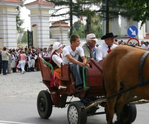 VII PODLASKIE ŚWIĘTO CHLEBA