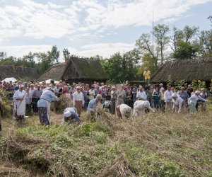 XVI Podlaskie Święto Chleba