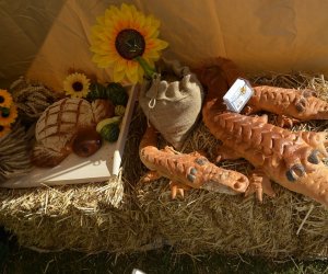 XV Podlaskie Święta Chleba w Muzeum Rolnictwa im. ks. Krzysztofa Kluka w Ciechanowcu XV Podlaskie Święta Chleba w Muzeum Rolnictwa im. ks. Krzysztofa Kluka w Ciechanowcu