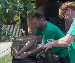 XX Podlaskie Święto Chleba - fotorelacja XX Podlaskie Święto Chleba - fotorelacja